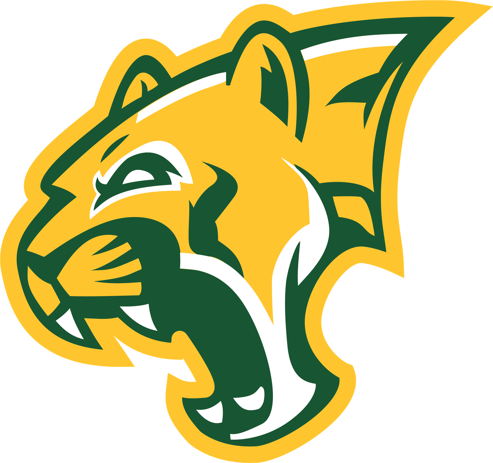 Western Hills High School
